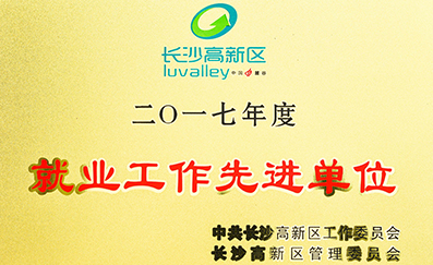 1-1Z10Q506090-L